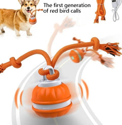 Smart Rolling Cat Toy Ball – USB Rechargeable Interactive Pet Toy