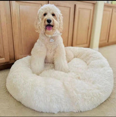 CalmPaws™ Anti-Anxiety Dog Bed