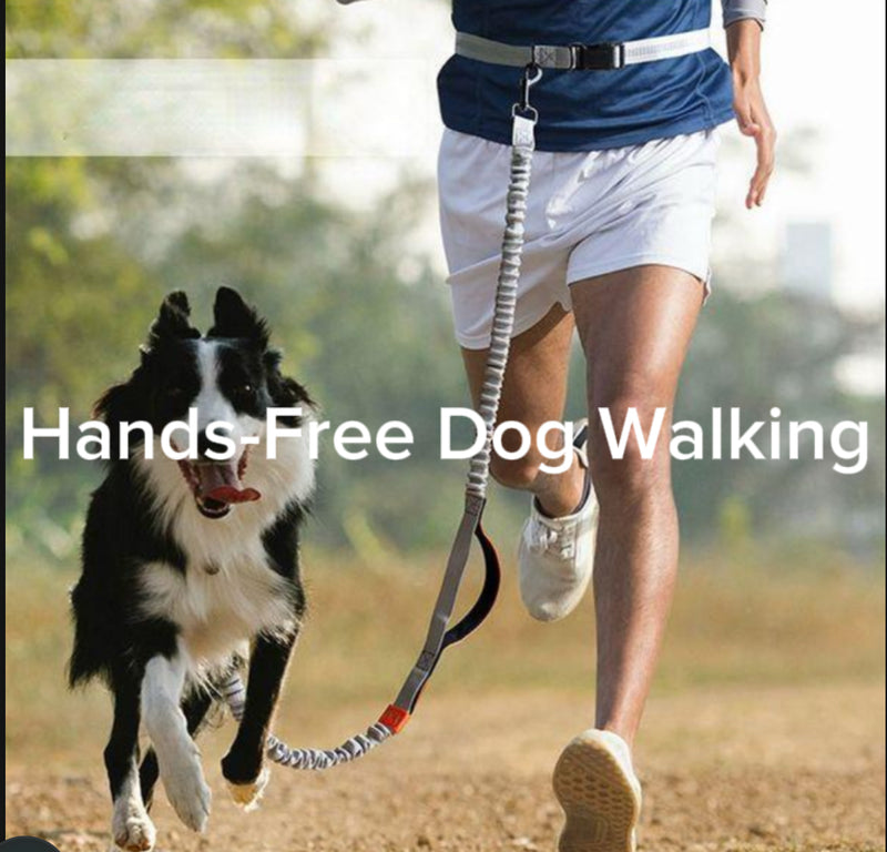WalkEase™ Hands-Free Dog Leash Belt