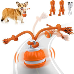 Smart Rolling Cat Toy Ball – USB Rechargeable Interactive Pet Toy