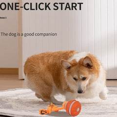 Smart Rolling Cat Toy Ball – USB Rechargeable Interactive Pet Toy